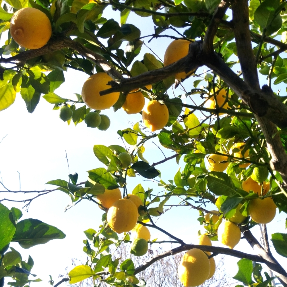 Meet your Posher, NJ